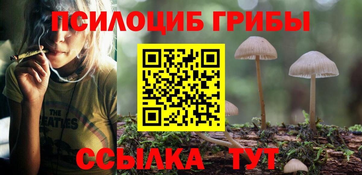 Галлюциногенные грибы Cubensis  Галлюциногенные грибы Psilocybine cubensis  Лянтор  Вход с VPN 