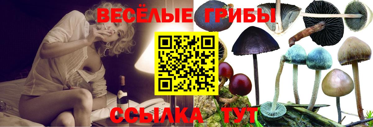 Псилоцибиновые грибы мицелий Лянтор